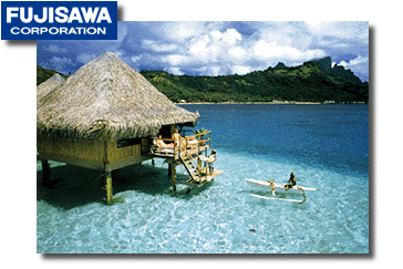 fiji.gif (47k)